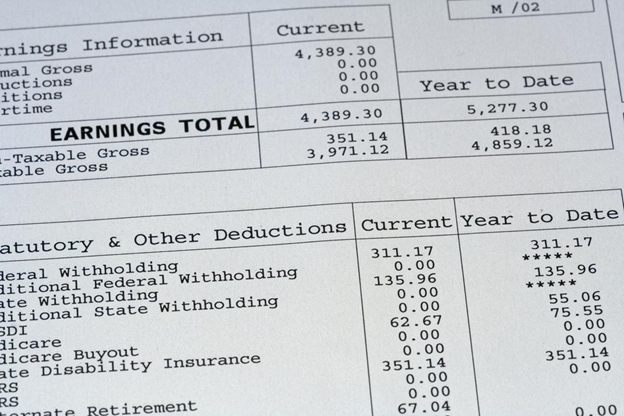 Paystub Earnings